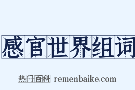 感官世界组词是什么意思的图片
